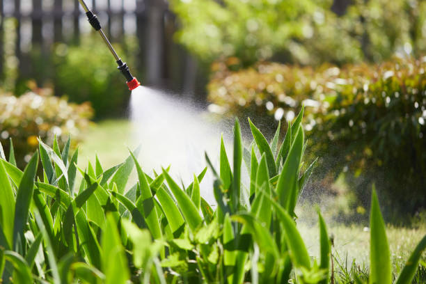 24/7 Emergency Termite Control experts in North Bend, WA