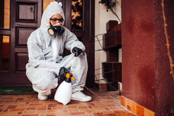 Reliable Termite Control contractor in North Bend, WA by Nex Pest Control