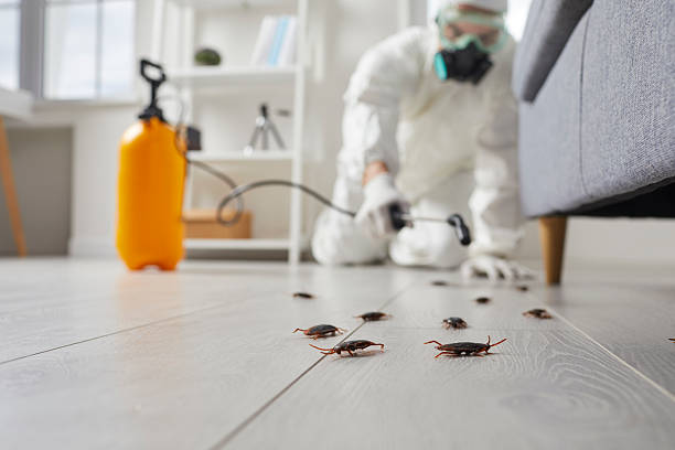 Trusted Rodent Control service in North Bend, WA - Nex Pest Control